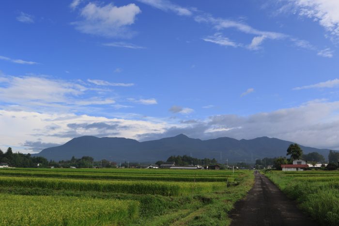 8月29日(木)　AM 7:33　前橋市苗ケ島町