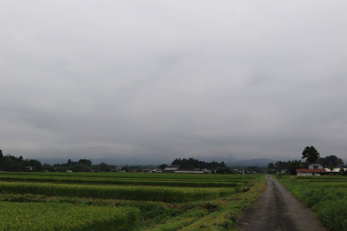 8月30日(金)　AM 7:33　前橋市苗ケ島町