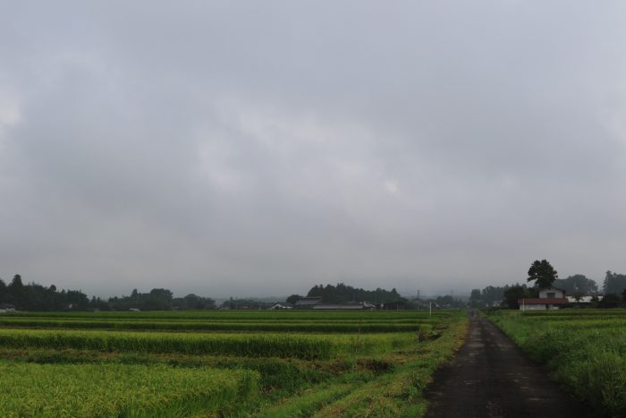 8月31日(土)　AM 7:51　前橋市苗ケ島町