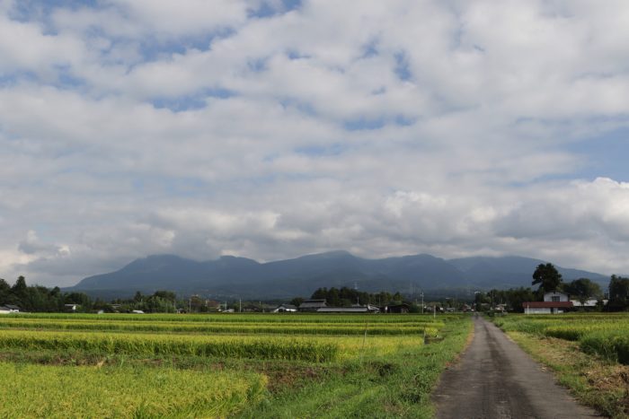 9月7日(土)　AM 8:17　前橋市苗ケ島町