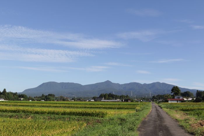 9月10日(火)　AM 7:40　前橋市苗ケ島町