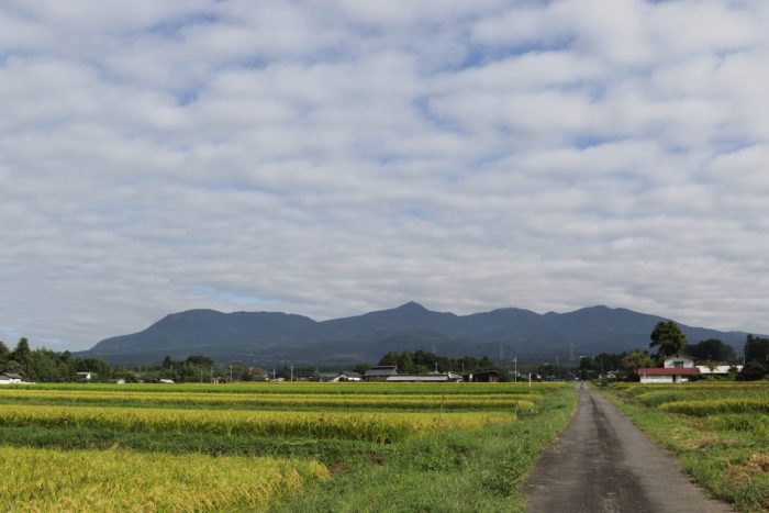 9月14日(土)　AM 8:16　前橋市苗ケ島町