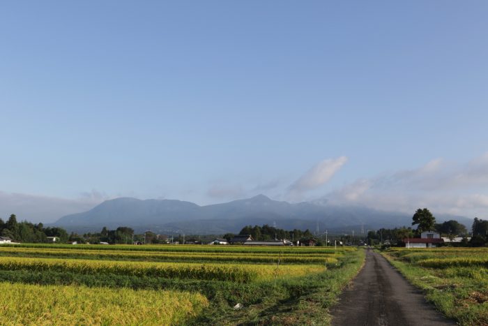 9月15日(日) AM 6:53　前橋市苗ケ島町