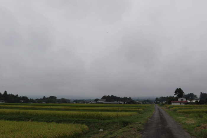 9月16日(月)　AM 9:47　前橋市苗ケ島町