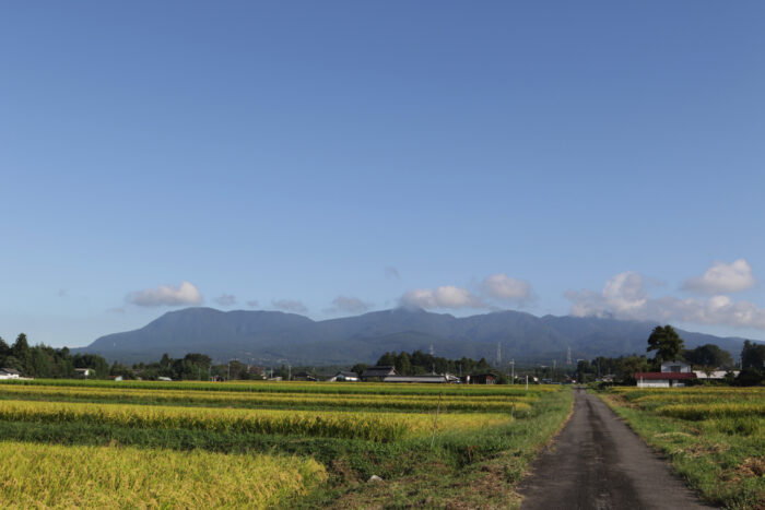 9月17日(火)　AM 7:32　前橋市苗ケ島町