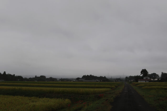 9月23日(月)　AM 8:00　前橋市苗ケ島町