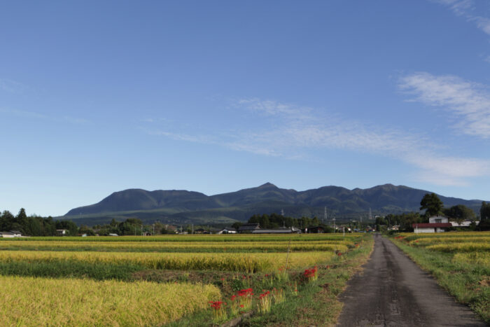 9月24日(火)　AM 7:29　前橋市苗ケ島町