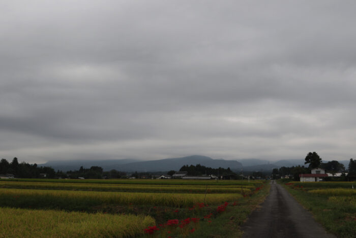 9月26日(木)　AM 7:32　前橋市苗ケ島町