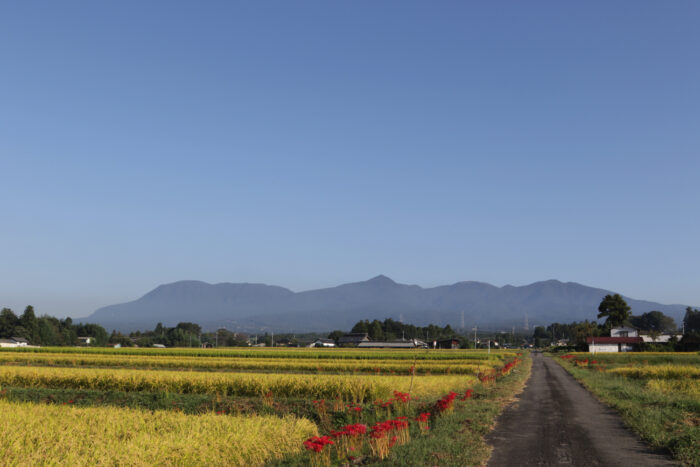 9月27日(金)　AM 7:35　前橋市苗ケ島町