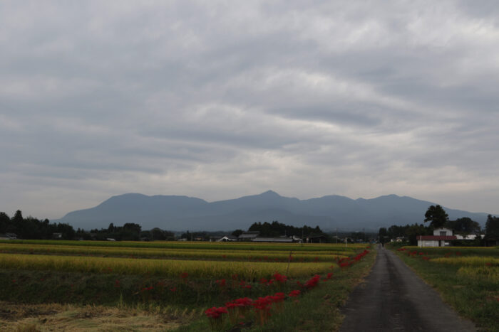 9月28日(土)　AM 8:17　前橋市苗ケ島町