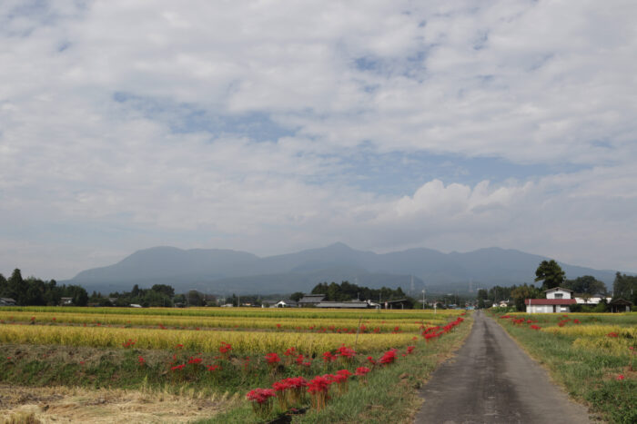 9月29日(日)　PM 0:42　前橋市苗ケ島町