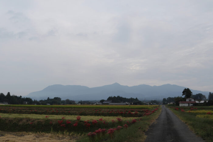 10月3日(木)　AM 6:56　前橋市苗ケ島町