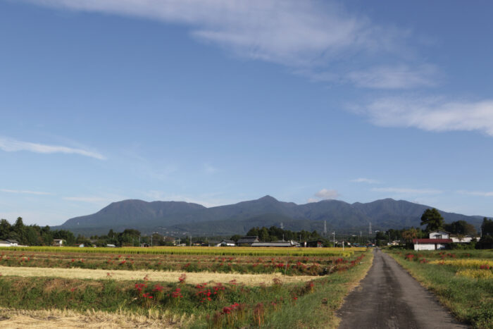 10月5日(土)　AM 7:53　前橋市苗ケ島町