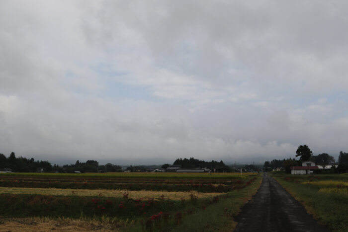 10月6日(日)　AM 8:42　前橋市苗ケ島町