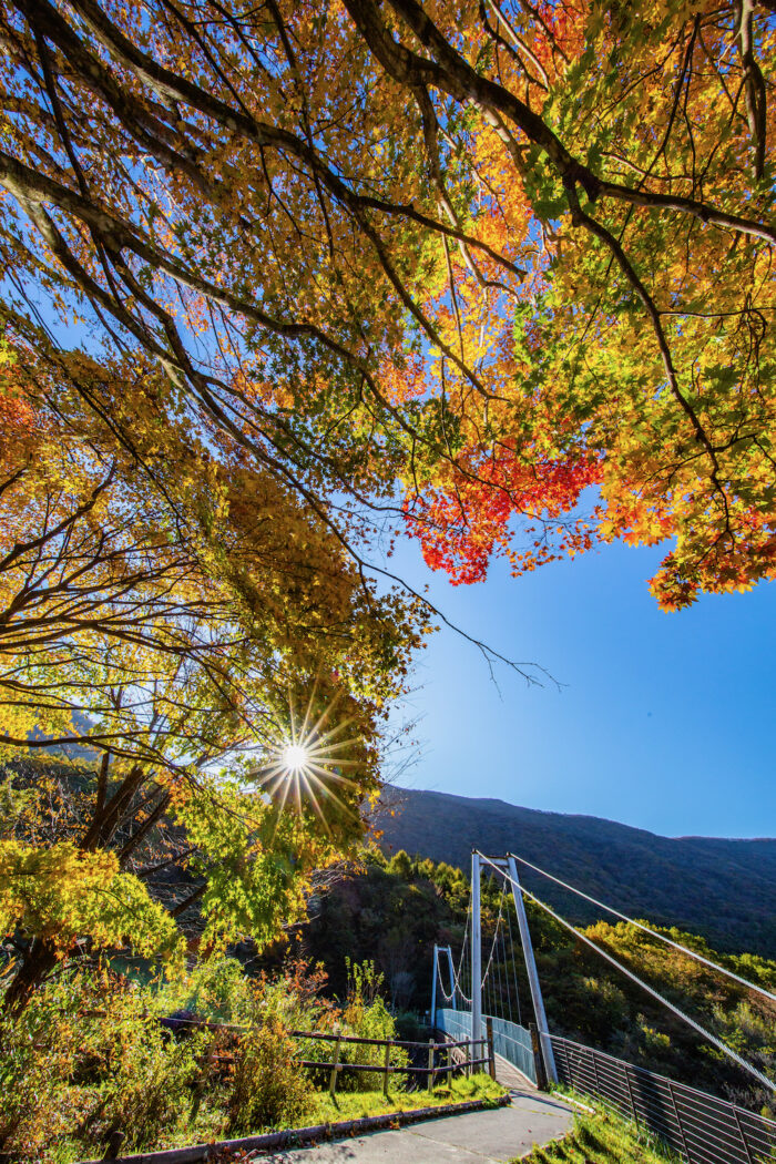 撮影　11月2日