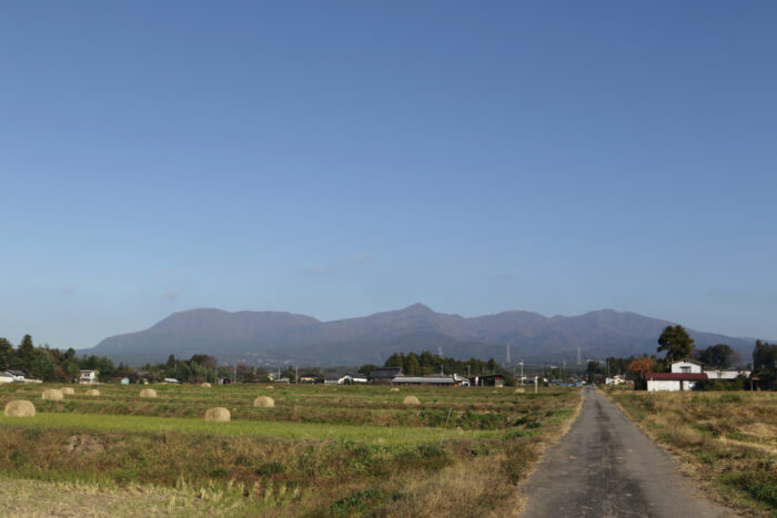 11月9日(土)　AM 8:33　前橋市苗ケ島町