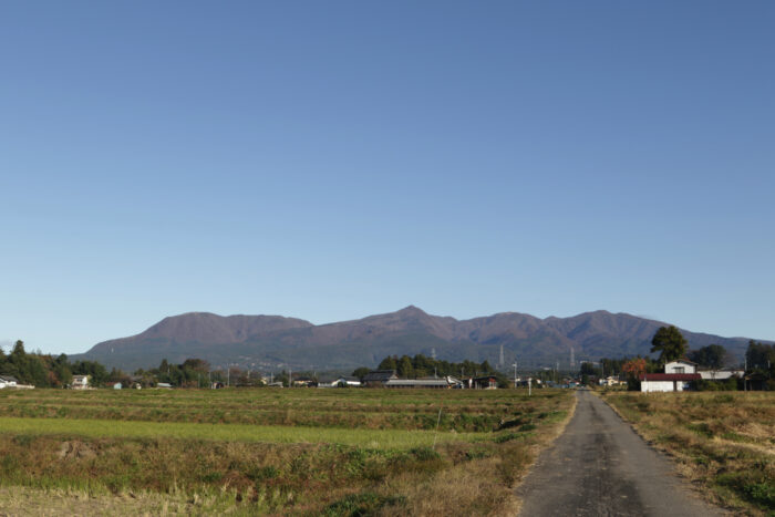 11月10日(日)　AM 7:54　前橋市苗ケ島町