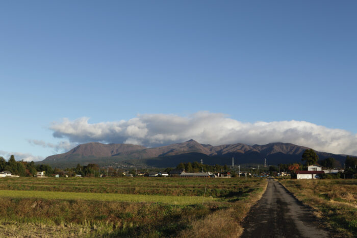 11月12日(火)　AM 7:15　前橋市苗ケ島町