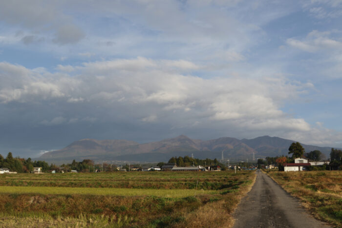 11月14日(木)　AM 7:29　前橋市苗ケ島町