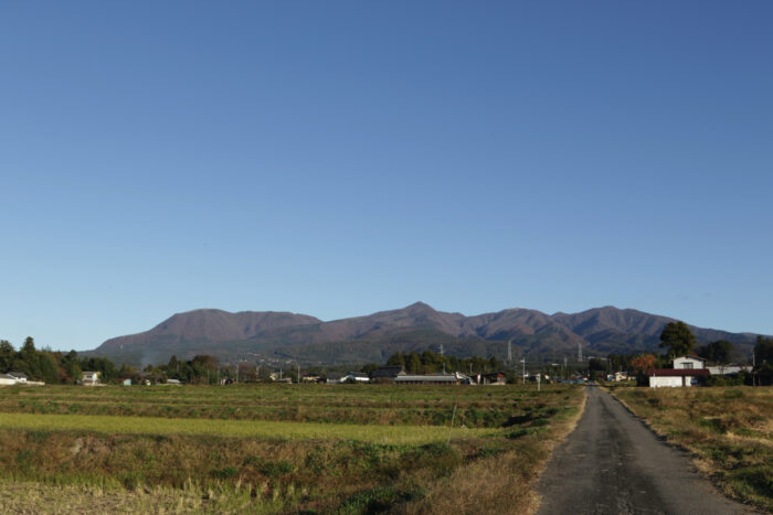 11月15日(金) 　AM 7:38　前橋市苗ケ島町