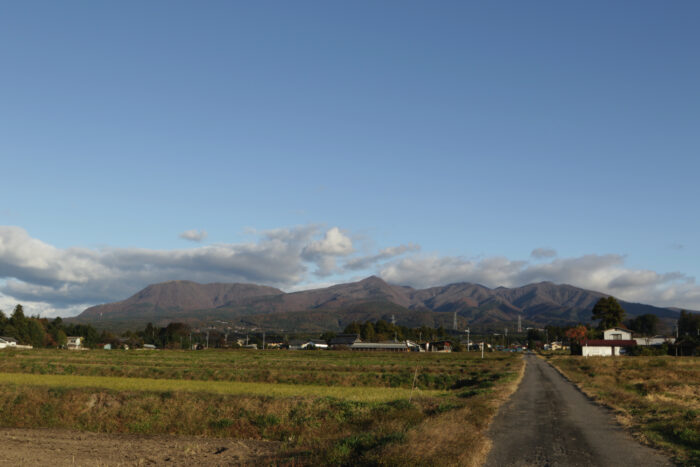 11月17日(日)　AM 7:36　前橋市苗ケ島町