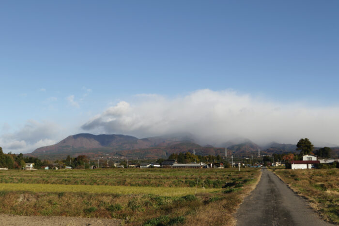 11月20日(水)　AM 7:49　前橋市苗ケ島町