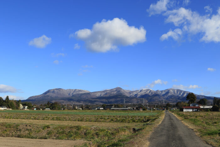 3月25日(水)　AM 7:45　前橋市苗ケ島町