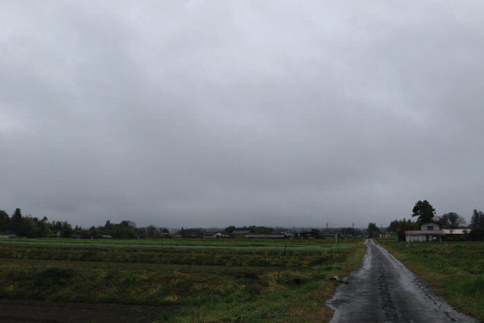 4月20日(月)　AM 7:37　前橋市苗ケ島町