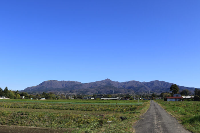 4月24日(金)　AM 7:48　前橋市苗ケ島町