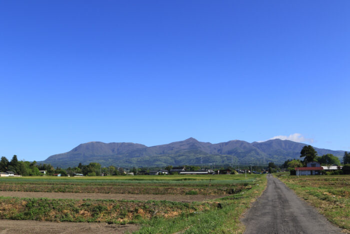 5月11日(月)　AM 7:48　前橋市苗ケ島町