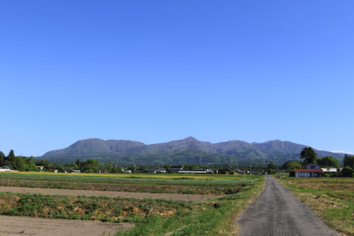 5月14日(木)　AM 7:37　前橋市苗ケ島町