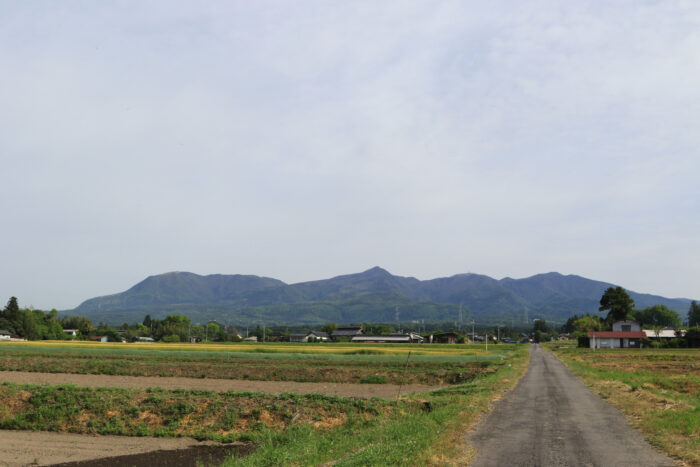 5月15日(金)　AM 7:41　前橋市苗ケ島町