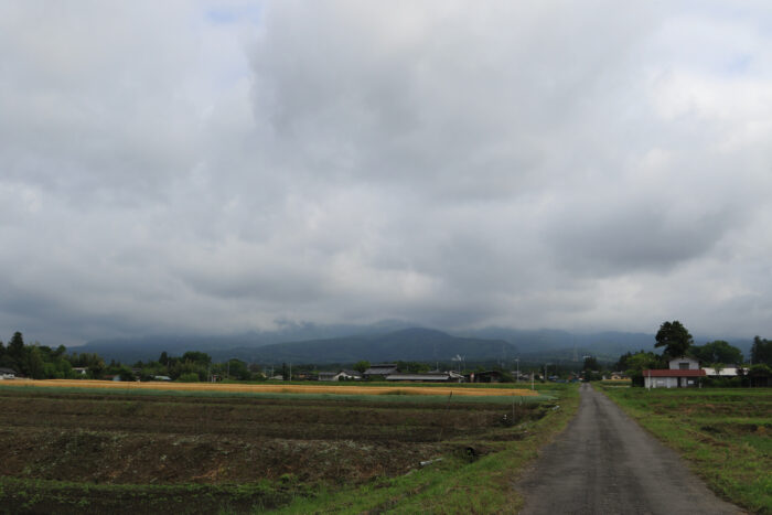 5月24日(日)　AM 8:14　前橋市苗ケ島町