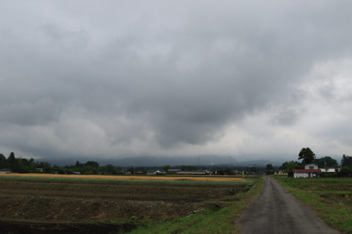 5月25日(月)　AM 7:21　前橋市苗ケ島町