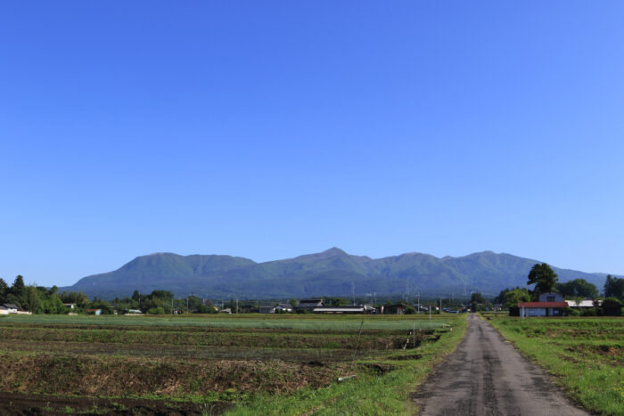 5月29日(金)　AM 7:39　前橋市苗ケ島町