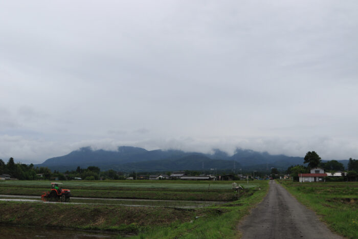 6月1日(月)　AM 7:40　前橋市苗ケ島町