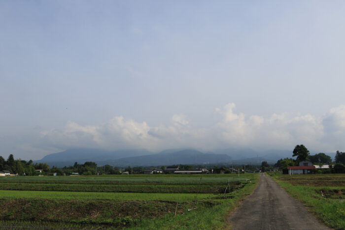 6月3日(水)　AM 7:49　前橋市苗ケ島町