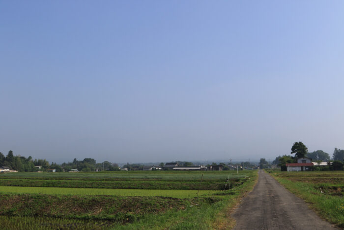 6月5日(金)　AM 7:44　前橋市苗ケ島町