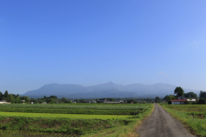 6月8日(月)　AM 7:30　前橋市苗ケ島町