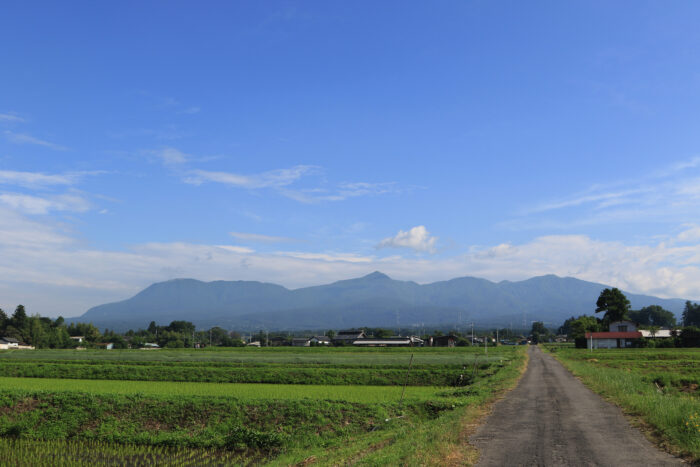 6月11日(木)　AM 7:49　前橋市苗ケ島町