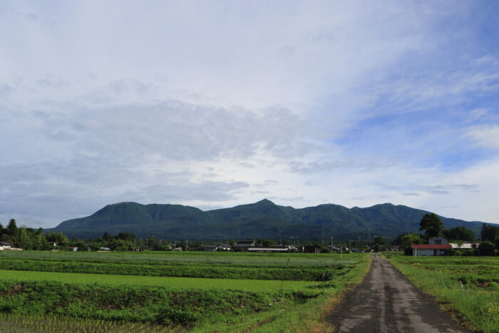 6月12日(金)　AM 7:40　前橋市苗ケ島町