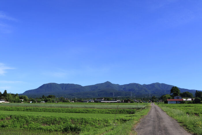 6月17日(水)　AM 7:49　前橋市苗ケ島町