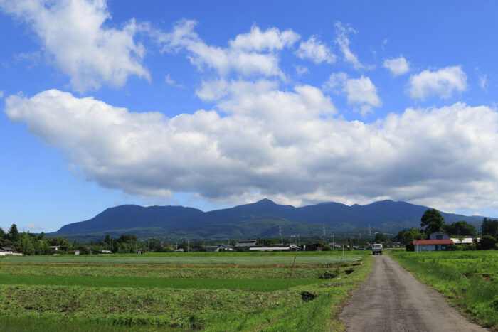 6月20日(土)　AM 8:43　前橋市苗ケ島町