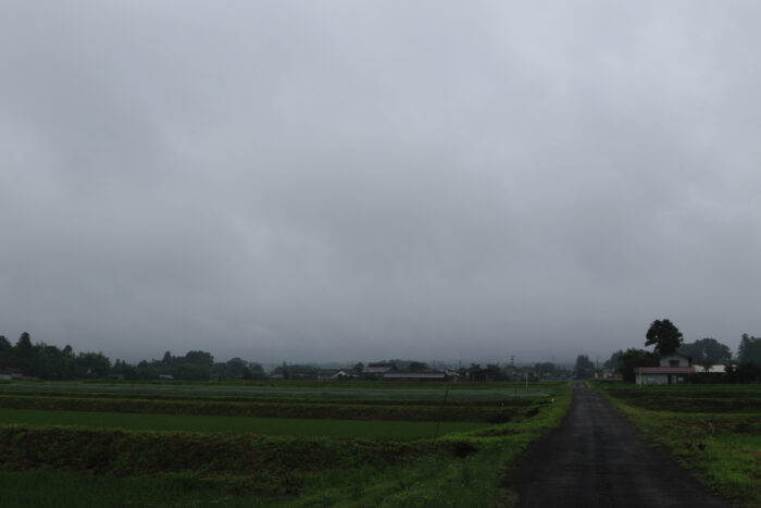 6月24日(水)　AM 7:44　前橋市苗ケ島町