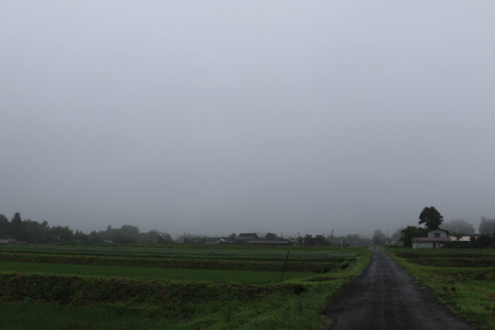 6月25日(木)　AM 7:42　前橋市苗ケ島町