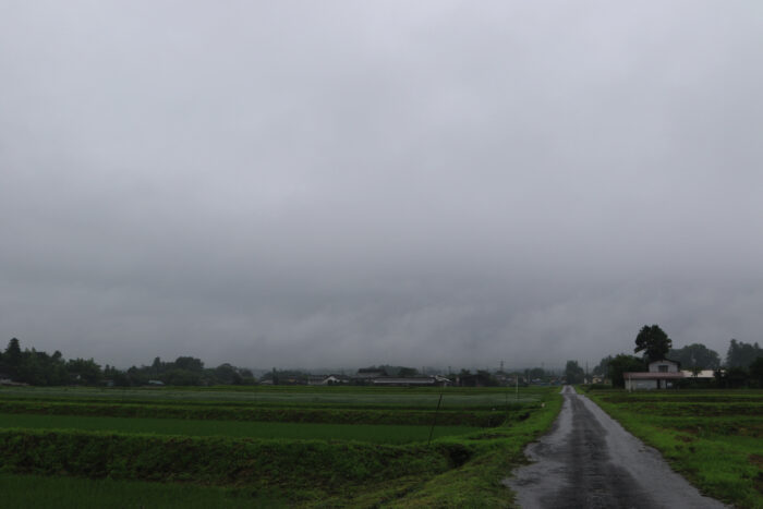 6月28日(日)　AM 8:54　前橋市苗ケ島町