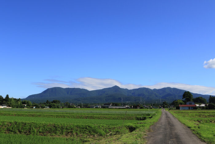 6月29日(月)　AM 7:28　前橋市苗ケ島町