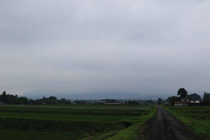 6月30日(火)　AM 7:46　前橋市苗ケ島町