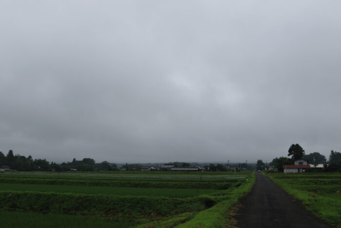 7月1日(水)　AM 7:42　前橋市苗ケ島町