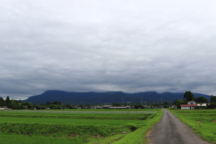 7月3日(金)　AM 7:45　前橋市苗ケ島町